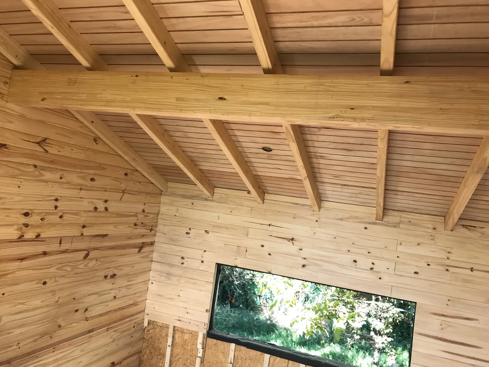 Cielorraso de madera machimbrada con ventana horizontal apaisada hacia el verde