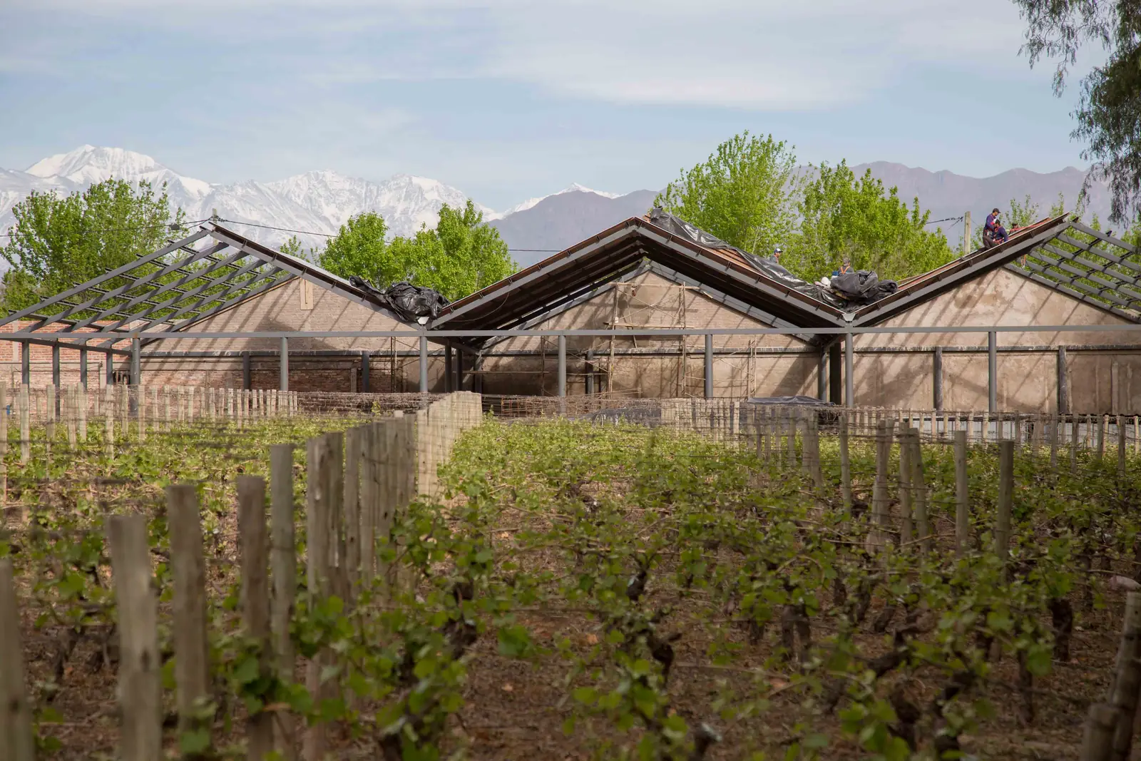 Techos terminados sobre las vasijas de barro, con la cordillera nevada al fondo