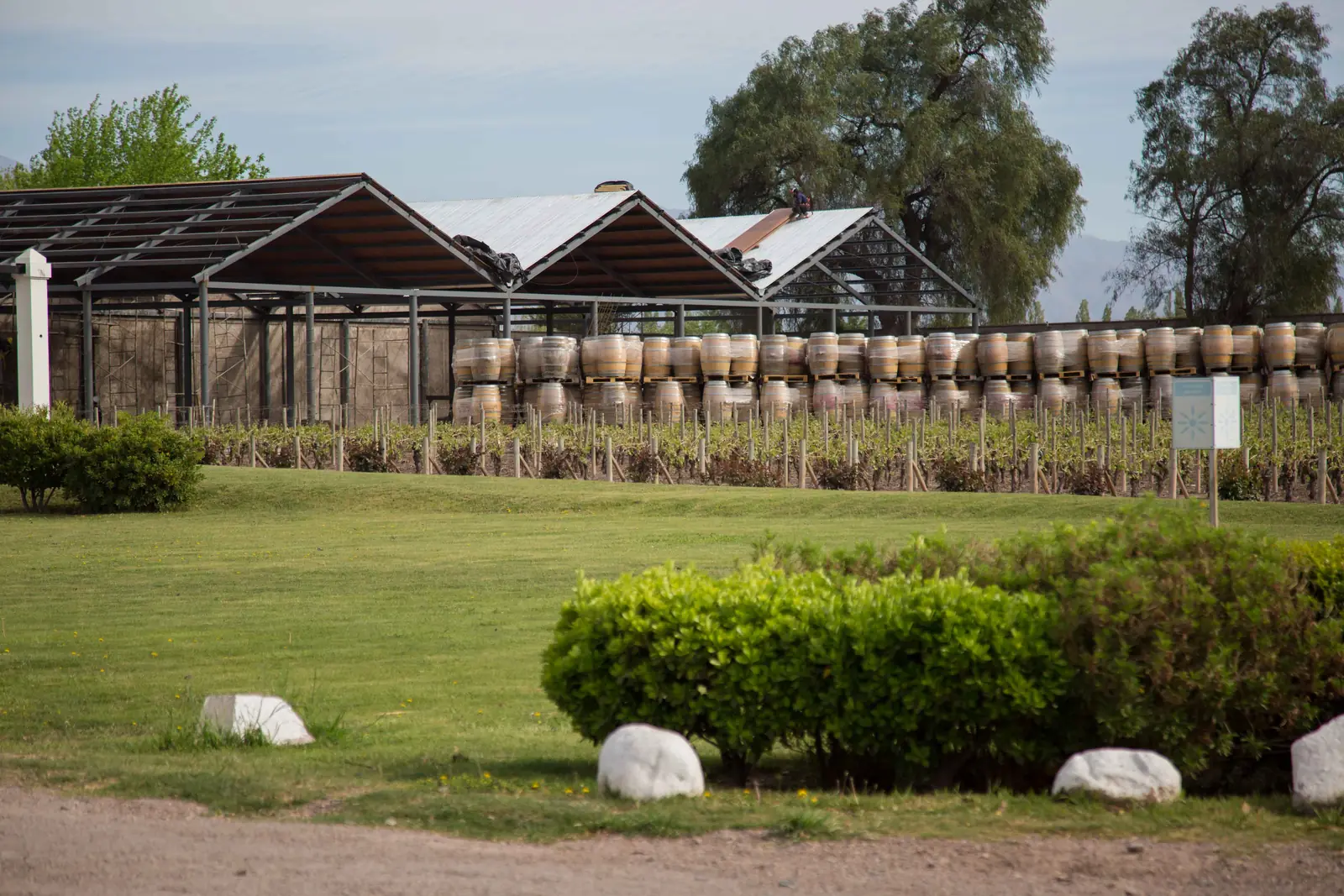 Vasijas de barro alineadas bajo los techos nuevos, con césped y arbustos delante