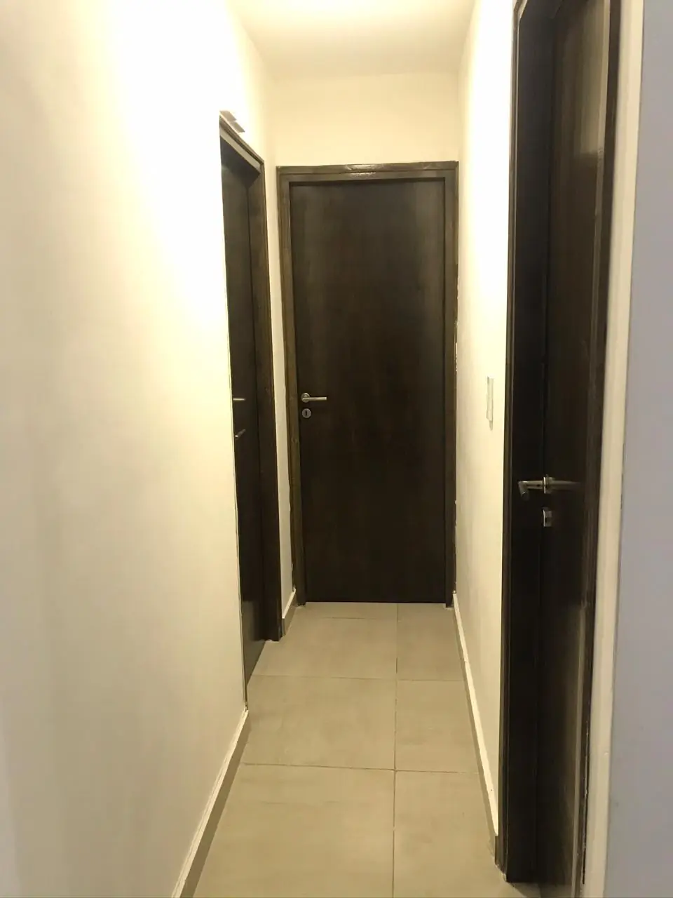 Pasillo interior con puertas placa oscuras y terminaciones de pintura completas
